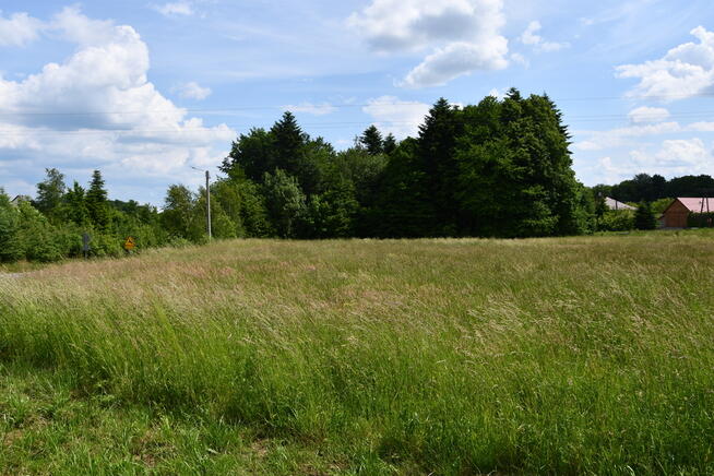 Działka budowlana 42.46a - Dylągówka