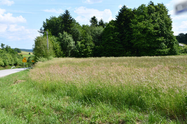 Działka budowlana 42.46a - Dylągówka