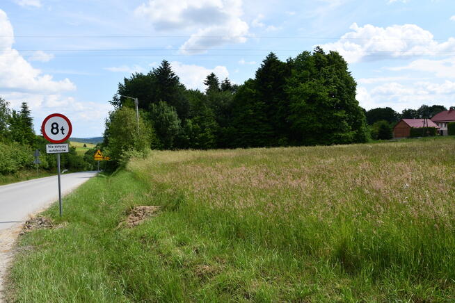 Działka budowlana 42.46a - Dylągówka