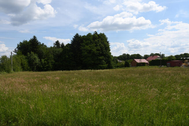 Działka budowlana 42.46a - Dylągówka