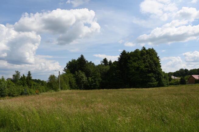 Działka budowlana 42.46a - Dylągówka