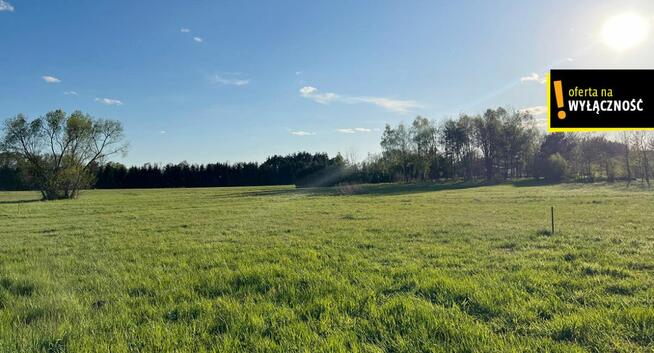 Działka budowlana Rytwiany, Tadeusza Kościuszki
