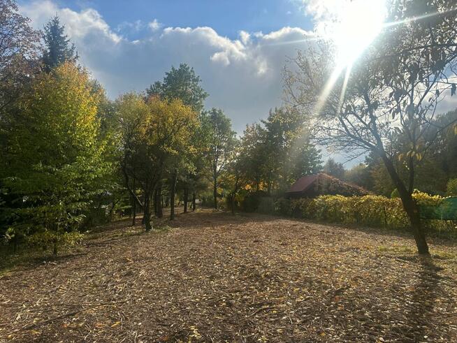 Radachówka nad rzeką Świder 30min z W-wy trasą S17