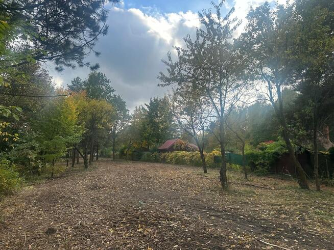 Radachówka nad rzeką Świder 30min z W-wy trasą S17