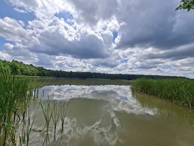 Wydzierżawię działkę nad jeziorem Kornelin Annowo 400 mkw.