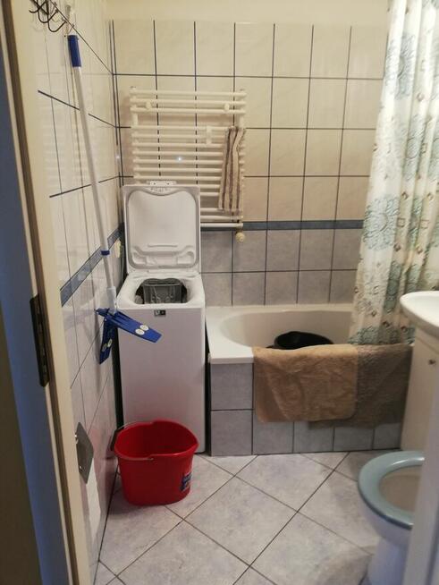 Do wynajęcia mieszkanie na Gaju