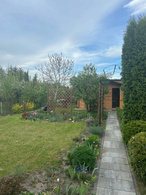 Działka ROD Siedlce
