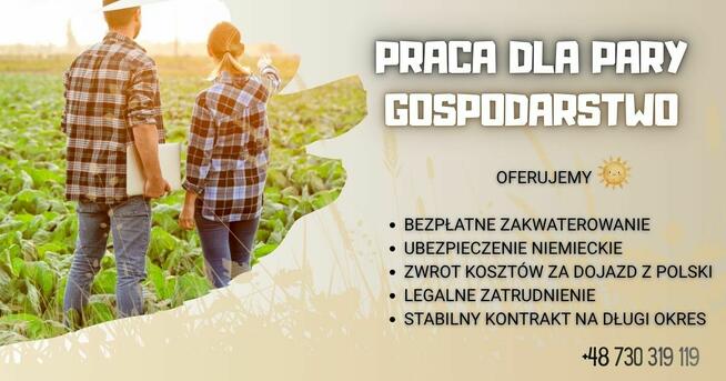 Praca dla Pary (dojenie krów) Niemcy, Bdb warunki!