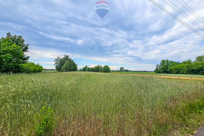 Duża działka 3116 m² z WZ w spokojnej okolicy