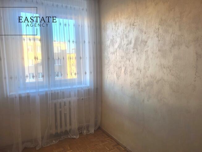 centrum miasta | nowe instalacje | cisza i zieleń