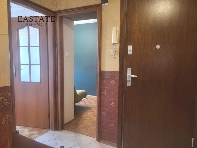 centrum miasta | nowe instalacje | cisza i zieleń