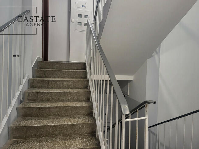 centrum miasta | nowe instalacje | cisza i zieleń