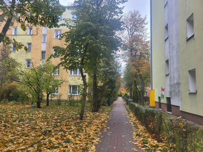 centrum miasta | nowe instalacje | cisza i zieleń