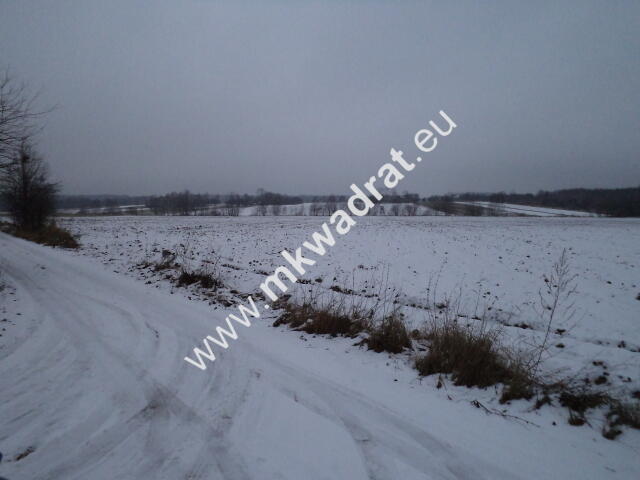 Działka Powązki