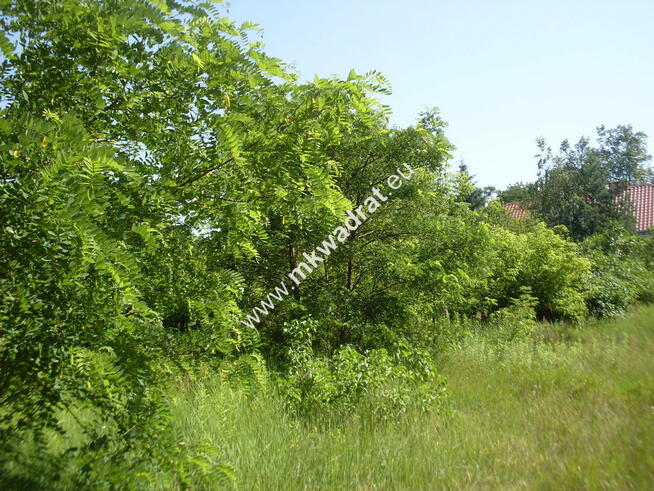 Działka Teresin Kaski-działki