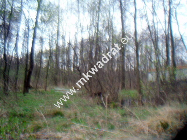 Działka Słubica b