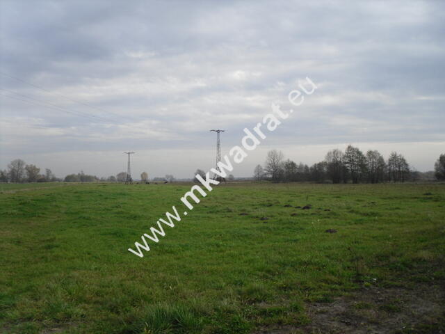 Działka Baranów
