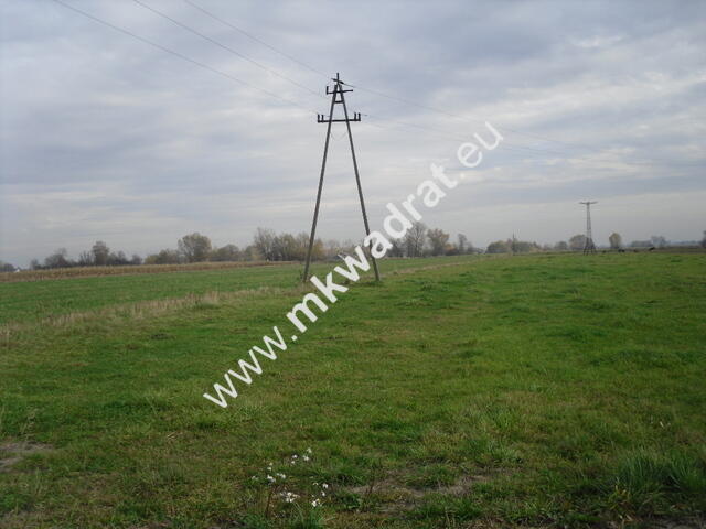 Działka Baranów