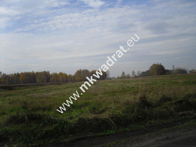 Działka Baranów