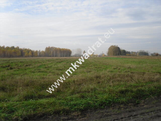 Działka Baranów