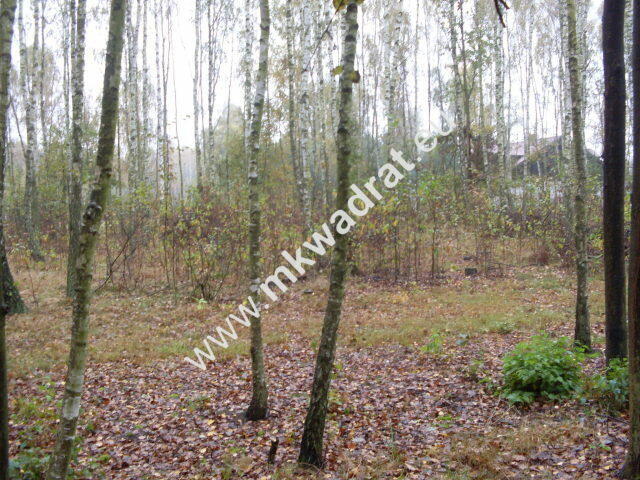 Działka Jaktorów