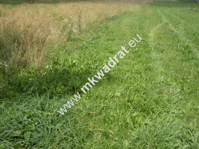 Działka Mszczonów