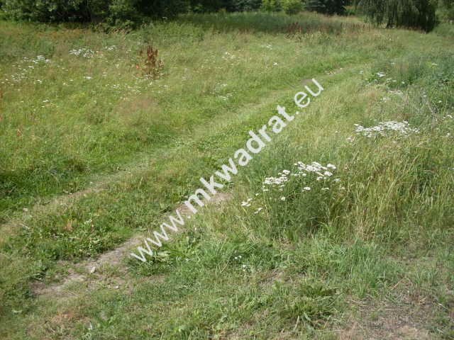 Działka Mszczonów