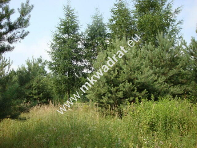 Grzegorzewice działka 2163m2