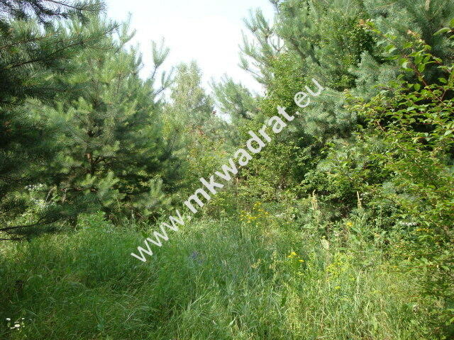 Grzegorzewice działka 2163m2