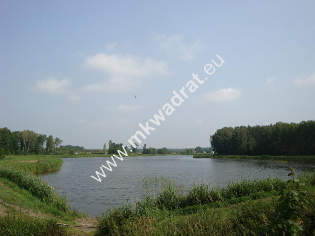 Grzegorzewice działka 2163m2