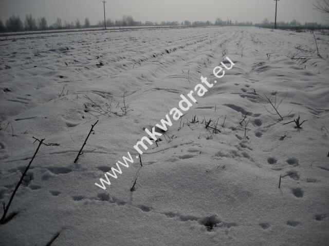 Działka Płochocin