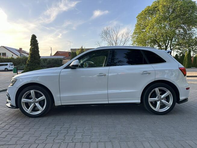 Audi SQ5 2014r 3.0 TDI V6 313KM Navi Kamera Alcantara Bang Olufsen Panorama Hak
