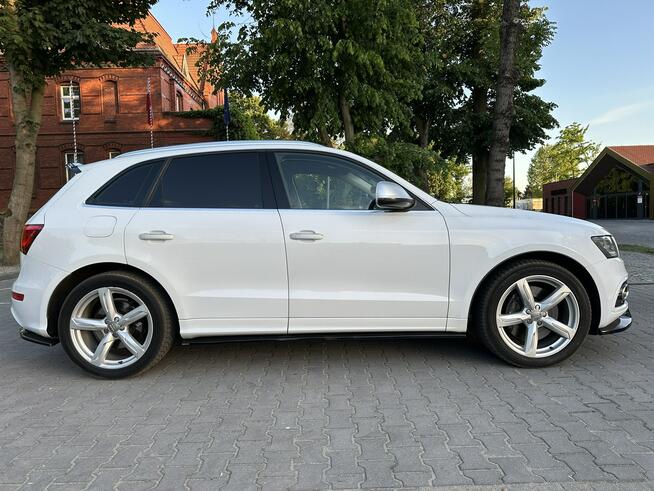 Audi SQ5 2014r 3.0 TDI V6 313KM Navi Kamera Alcantara Bang Olufsen Panorama Hak