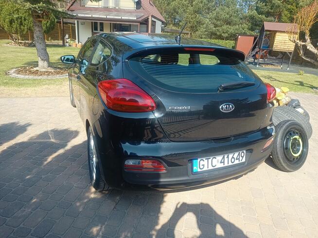 Motoryzacja
