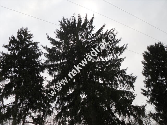 Działka 4000m MPZP Stanisławów