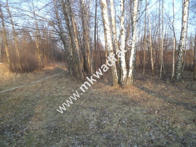 Działka budowlana! z lasem 1/3 pow. w m.Stare Budy