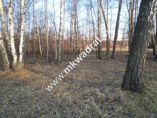 Działka budowlana! z lasem 1/3 pow. w m.Stare Budy