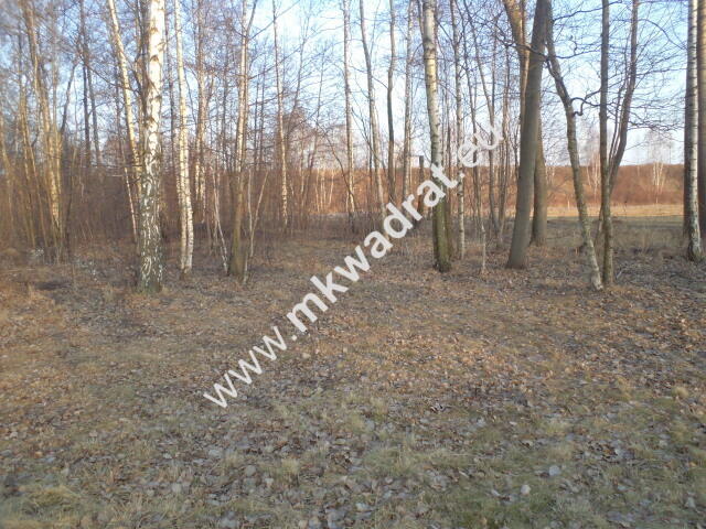 Działka budowlana! z lasem 1/3 pow. w m.Stare Budy