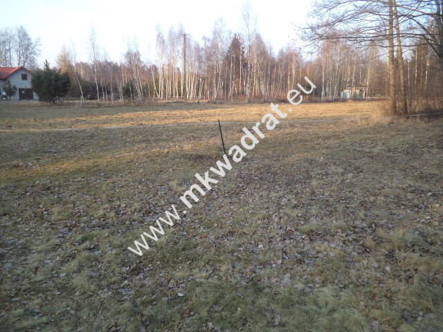 Działka budowlana! z lasem 1/3 pow. w m.Stare Budy