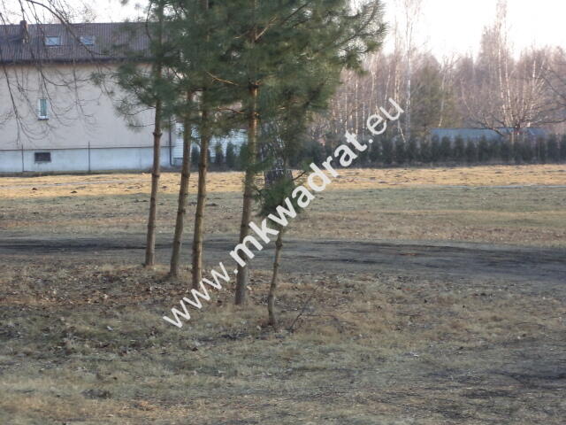 Działka budowlana! z lasem 1/3 pow. w m.Stare Budy