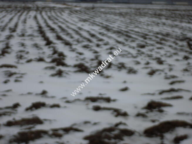 Działka 6450 m2 z domem i halą.