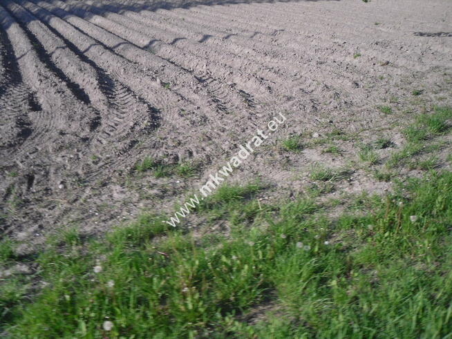 Działka 6450 m2 z domem i halą.