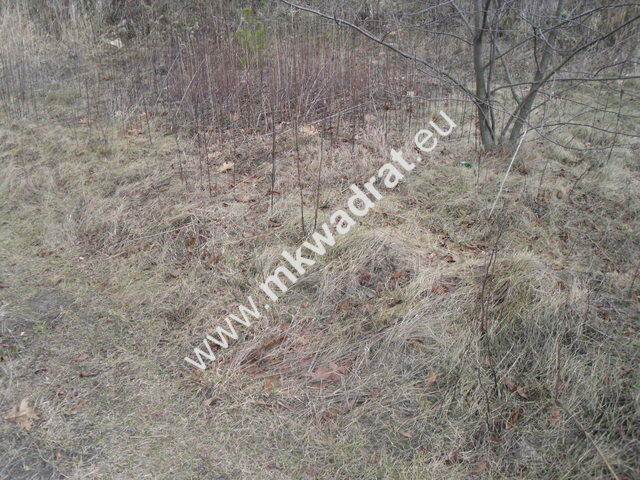Ciekawa działka