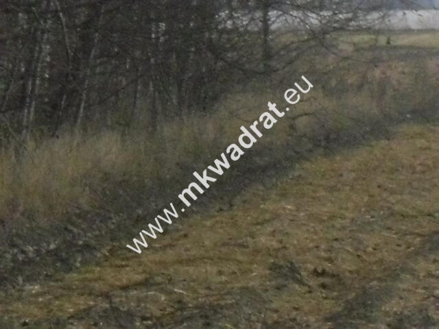 Ciekawa działka