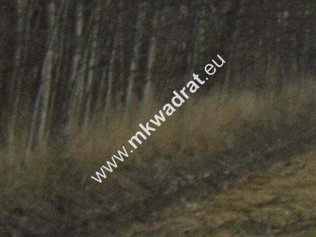 Ciekawa działka