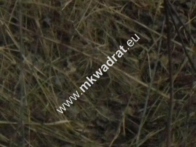 Ciekawa działka