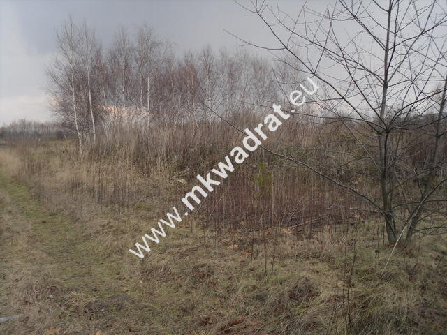 Ciekawa działka