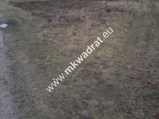 Ciekawa działka