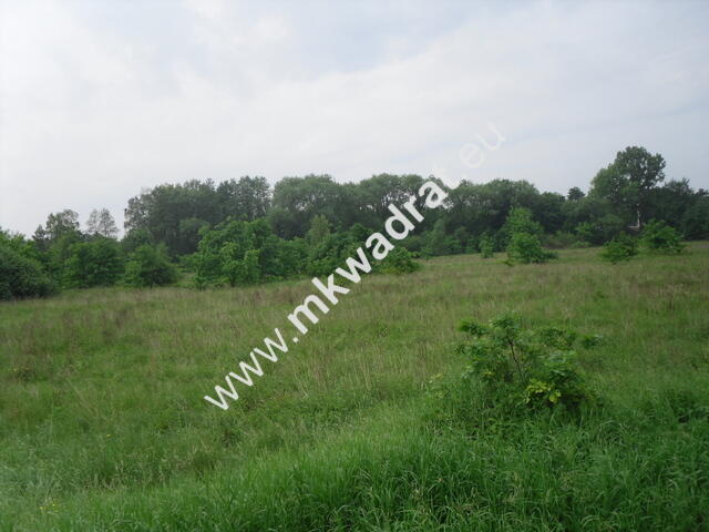 Działka Nowy wilków