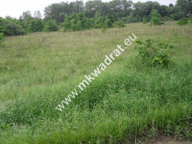 Działka Nowy wilków